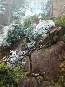两个年代平行线
