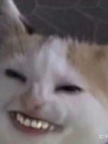 怪物大师：在何方