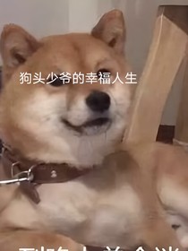 狗头少爷的幸福人生
