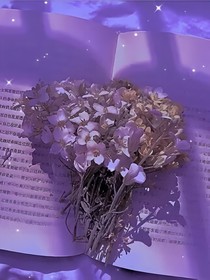 綜影視之漫