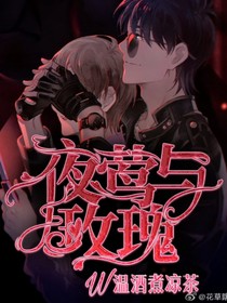 盗笔：夜莺与玫瑰