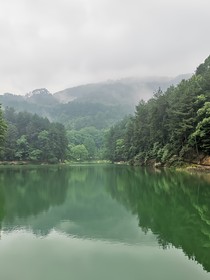 家庭主妇的丧生活日记