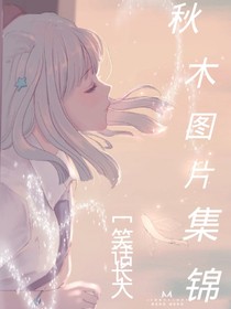 秋木图片集锦