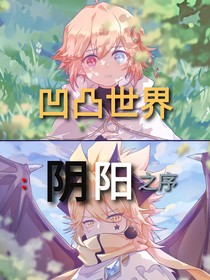 凹凸世界：阴阳之序