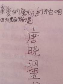 自編查理九世后續(xù)