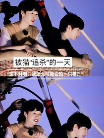 我家门口那只猫