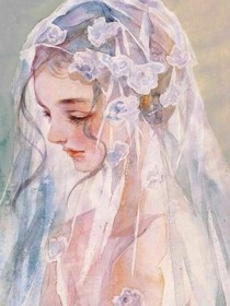 封面杂货铺（月老林怼怼）