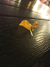 阿玉见闻