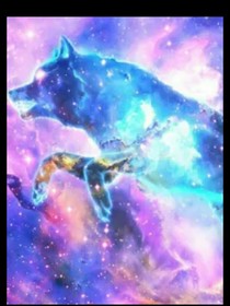 狼王梦之重入狼王生