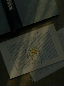 祁七的文案庫