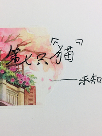 第七只貓