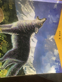 狼王梦梵