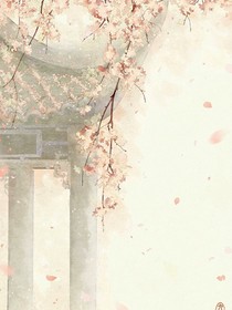 替嫁之人