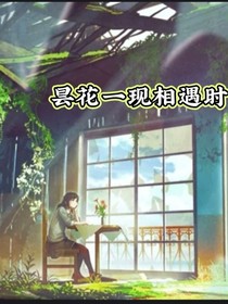 昙花一现相遇时