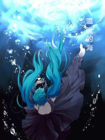 温暖的海