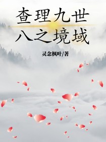 查理九世：八之境域