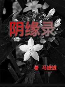 阴缘录