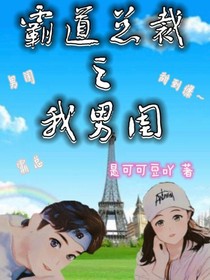 霸道总裁是我男闺
