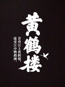 查理九世：是非無常