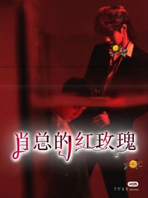 肖总的红玫瑰