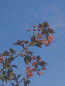 恍然一世