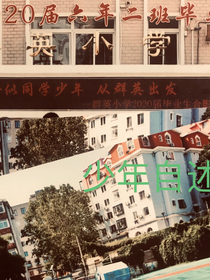 少年自述