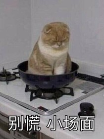 天天小日记