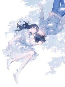 總裁夫人馬甲特別多