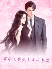 霸道总裁爱上美女系花
