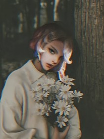 送你一支小雛菊