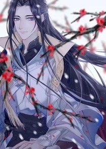 穿越之追妻（夫）