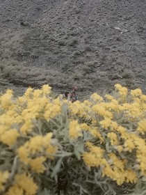 雨历险记