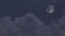 萤火虫与她的夏天