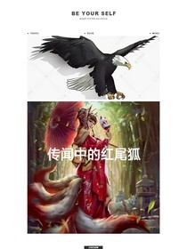 传闻中的红尾狐