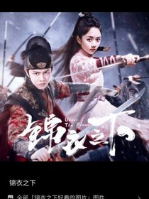 我的学霸男友（锦衣之下）