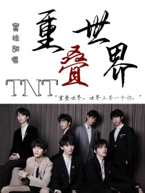 TNT：重叠世界