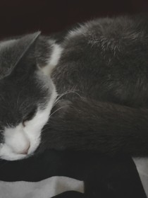 我在广东男友