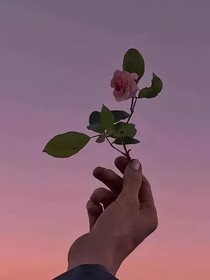 存在的意义仅此而已