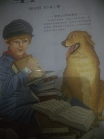 我穿越成二哈