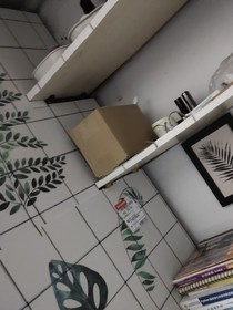请在意在意我