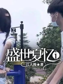 盛世夏憶i-d041