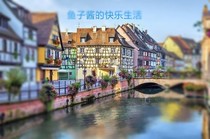 鱼子酱的快乐生活