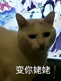 开局一神兽