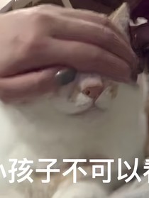關(guān)于羅栩羊