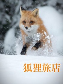 狐貍旅店