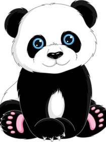 我与猫大精的生活