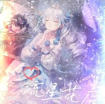 我的流星花店