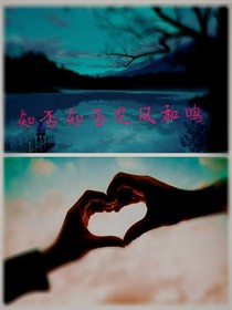 知否知否龙凤和鸣