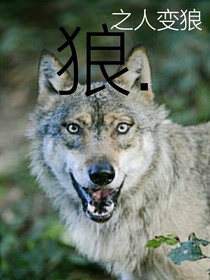 狼……