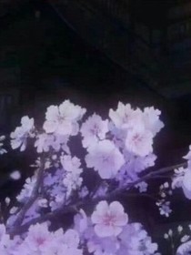 暗慰你
